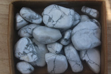 Load image into Gallery viewer, Howlite (Tumbled)
