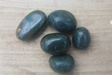 Load image into Gallery viewer, Bloodstone (Tumbled)
