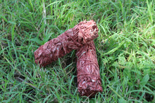 Load image into Gallery viewer, Dragon Blood Sage
