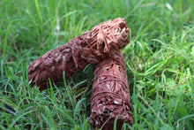 Load image into Gallery viewer, Dragon Blood Sage
